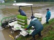 苗を田植え機にセット