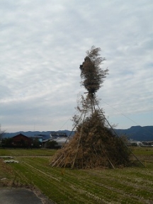 えびのの正月行事、「竹はしらかし」で使う積み重ねられた竹